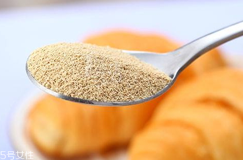 面粉和酵母的比例,酵母粉和面粉的比例是多少