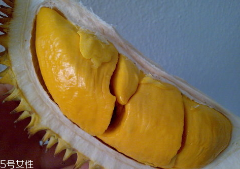 最贵的榴莲多少钱一斤,榴莲多少钱一斤现在市场价 最贵的榴莲多少钱一斤,榴莲多少钱一斤现在市场价