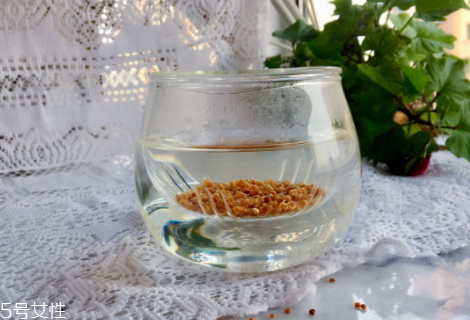 藜麦能生吃吗,生藜麦怎么吃