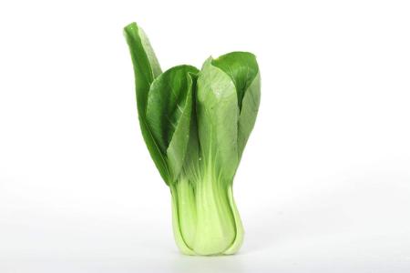 上海青菜饭的做法大全,上海青菜怎样做好吃