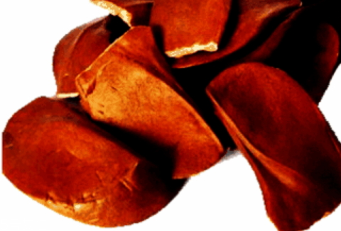 向天果什么味道,向天果是个什么东西呢?