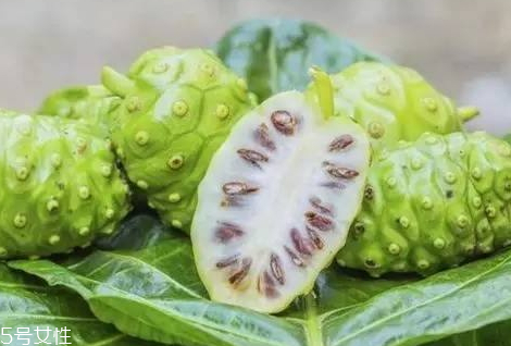 海巴戟的功效和作用,海巴戟的功效和作用及禁忌