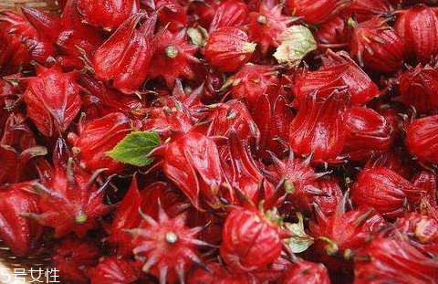 洛神果有什么功效,洛神花的功效和作用禁忌