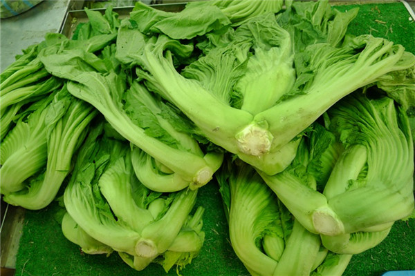 芥菜品种有几种,芥菜类蔬菜有哪些品种 芥菜品种有几种,芥菜类蔬菜有哪些品种