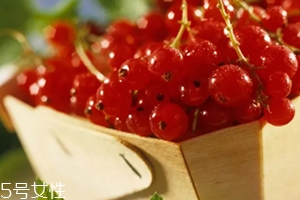 醋栗什么味道,醋栗什么味道鉴别