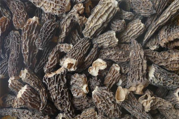 羊肚菌吃了会上火吗?,羊肚菌吃了会不会上火