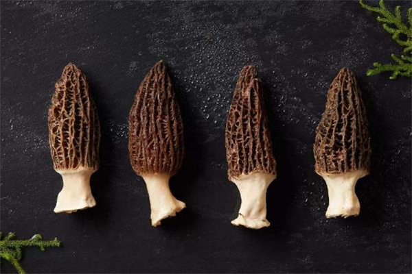 粉红口红适合什么肤色,粉色口红适合什么肤色