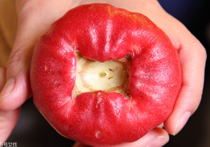 莲雾的保存方法,怎么挑选莲雾 莲雾的保存方法,怎么挑选莲雾