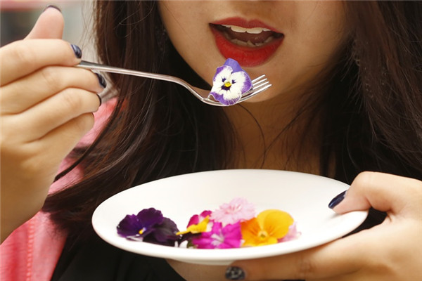 食用花的食物有,可以食用的花