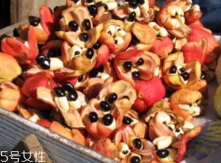 阿基果的功效,阿力果的功效和作用