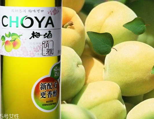 choya梅酒多少度,choya梅酒价格