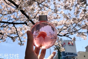 日本奈良樱花酒,日本金箔酒价格