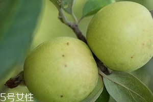 多依果的功效,云南多依果有什么营养