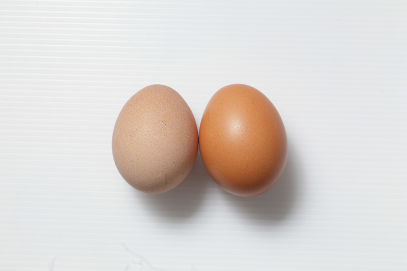 坏蛋也怕不要命的 坏蛋也怕不要命的