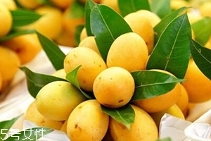 枇杷芒怎么吃,枇杷芒的功效和作用