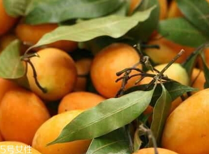 枇杷芒的皮可不可以吃,枇杷芒好吃吗