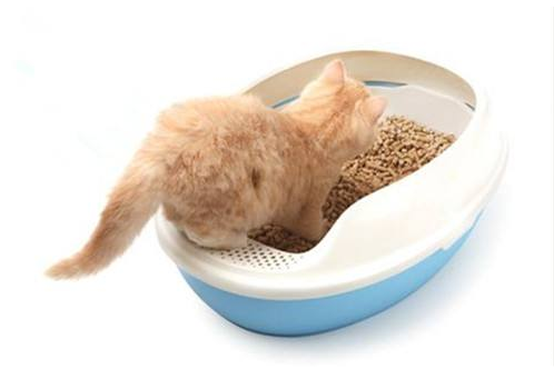 猫砂盆如何清理(猫砂盆如何清理)