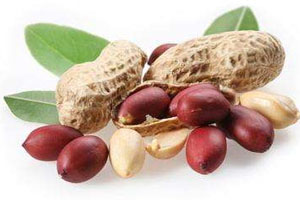 用烤箱烤带壳花生的温度和时间,电烤箱烤带壳花生的控制温度和时间