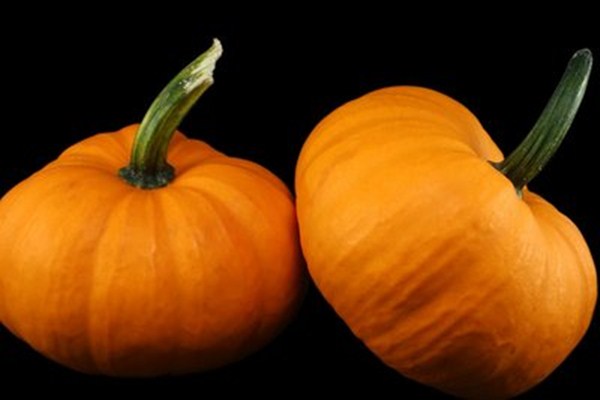 南瓜怎么放冰箱保存(南瓜怎么放冰箱保存)