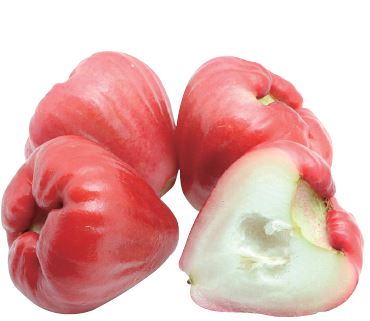 莲雾水果介绍,莲雾是什么地方的水果