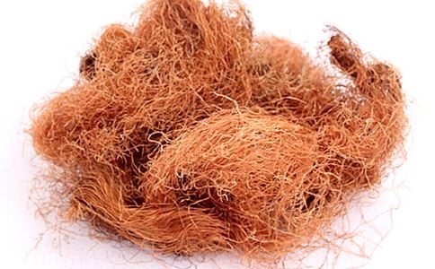 玉米须有没有副作用,玉米须的副作用 对身体是否有伤害