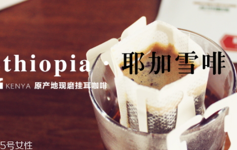 耶加雪菲咖啡怎么泡,耶加雪菲咖啡特点怎么泡 耶加雪菲咖啡怎么泡,耶加雪菲咖啡特点怎么泡