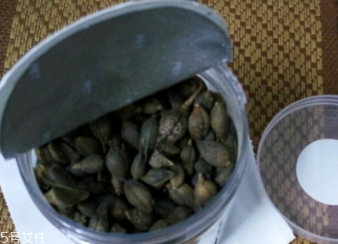 连翘泡水的作用和功效,连翘泡水的作用