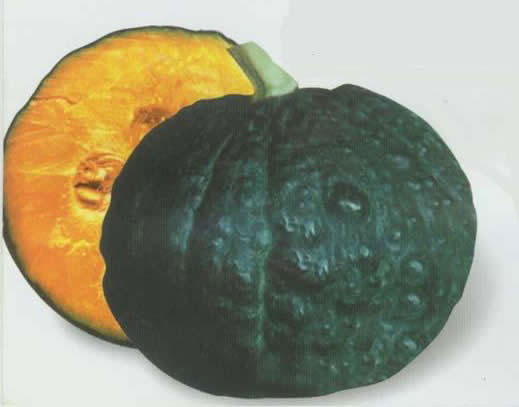 日本南瓜的营养价值及营养成分,日本南瓜的功效和作用