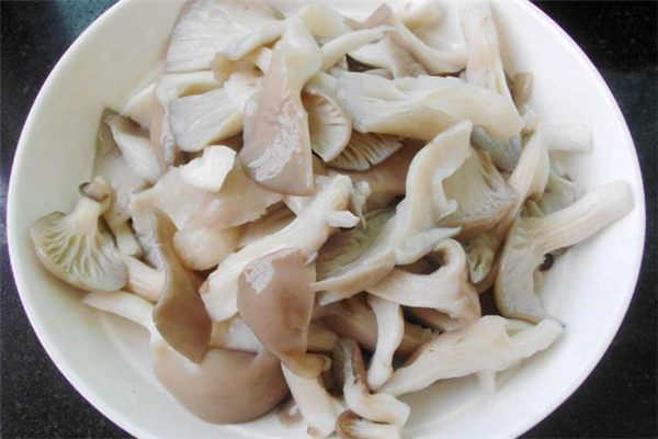 痛风能吃平菇吗?,痛风的人能不能吃香菇