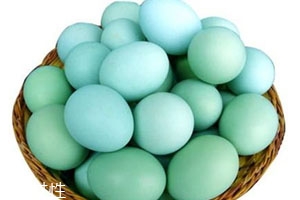 绿壳鸡蛋的特点,什么是绿壳鸡蛋