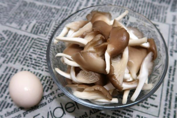 哺乳期能吃平菇吗?会不会回奶,哺乳期能吃平菇吗?会胀气 哺乳期能吃平菇吗?会不会回奶,哺乳期能吃平菇吗?会胀气