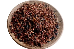 花椒有什么药用功效,花椒有什么作用? 花椒有什么药用功效,花椒有什么作用?