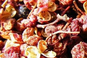 花椒长虫子吗?,花椒生虫子是怎么回事 花椒长虫子吗?,花椒生虫子是怎么回事