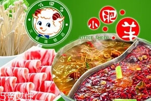 小肥羊火锅底料怎么使用,小肥羊锅底配料