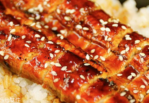 鳗鱼为什么夏天吃,冬天吃鳗鱼好不好