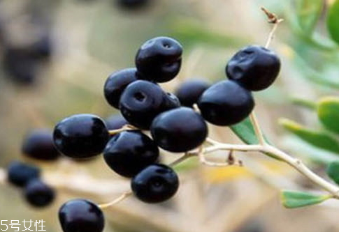 黑枸杞怎么泡水喝正确方法,黑枸杞怎么泡最好