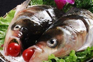 鱼头为什么会苦,鱼头为什么有点苦