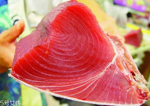 金枪鱼可以冷冻多久,金枪鱼放冷藏可以保存多久 金枪鱼可以冷冻多久,金枪鱼放冷藏可以保存多久