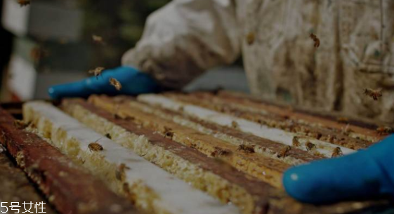 阿莫西林能不能外敷伤口,头孢能外敷伤口