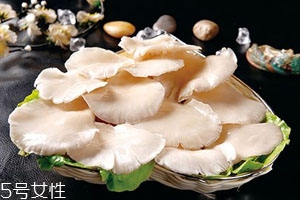 买的平菇发黄还能吃吗,平菇发黄还能吃吗