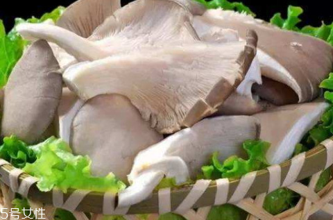 平菇的营养价值及功效和作用,平菇的营养价值和禁忌 平菇的营养价值及功效和作用,平菇的营养价值和禁忌