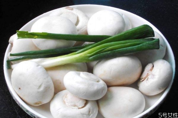 口蘑和芹菜可以一起吃吗,芹菜和鲜蘑能一起吃吗 口蘑和芹菜可以一起吃吗,芹菜和鲜蘑能一起吃吗