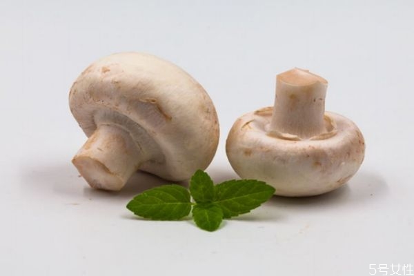 口蘑炒芹菜的做法,口蘑炒西芹