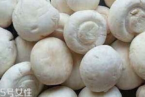 杏鲍菇不能和什么一起吃吗,口菇不能和什么一起吃 美味口菇也有禁忌