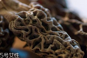 羊肚菌的功效和作用,干羊肚菌的功效和作用