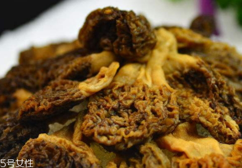 牛肚菌和牛肝菌的区别,牛肝菌和羊肚菌