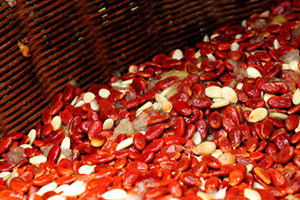 孕妇能不能吃南瓜,怀孕初期可以吃南瓜吗?