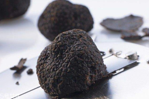 松露的生长,松露的生长环境特征