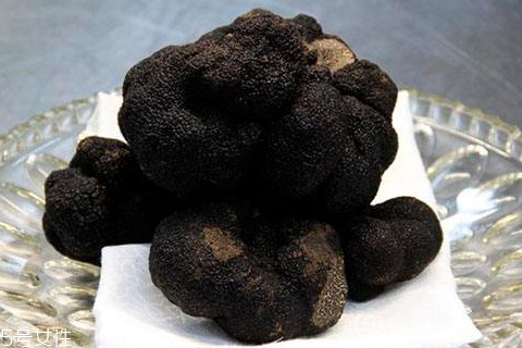 黑松露可以保存多久,新鲜黑松露能保存多久
