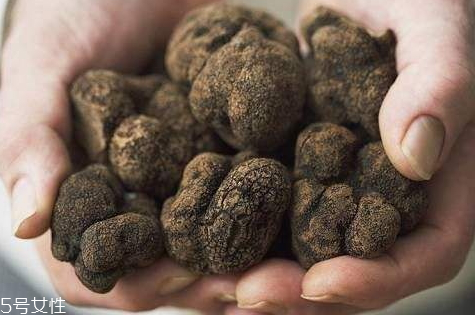 黑松露可以放冰箱吗,黑松露要放冰箱吗 黑松露可以放冰箱吗,黑松露要放冰箱吗